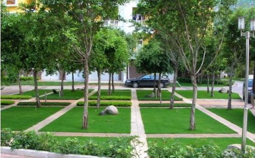 怎樣用植物生長調節(jié)劑降低綠化養(yǎng)護成本